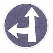 C 2e - Přikázaný směr jízdy přímo a vlevo